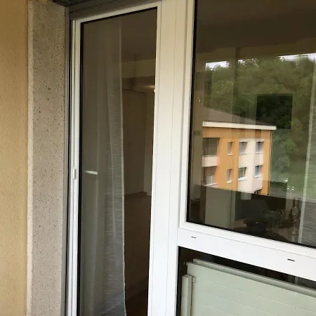 Faggi Lugano