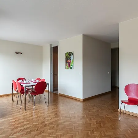 Faggi * Lugano